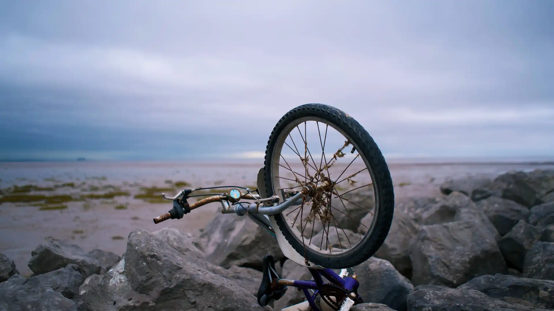Bicycle leaning on rocks with the front wheel up on a beach