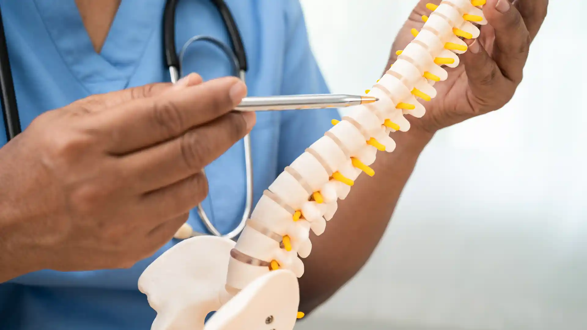 Medical professional pointing at a spine model with a pen