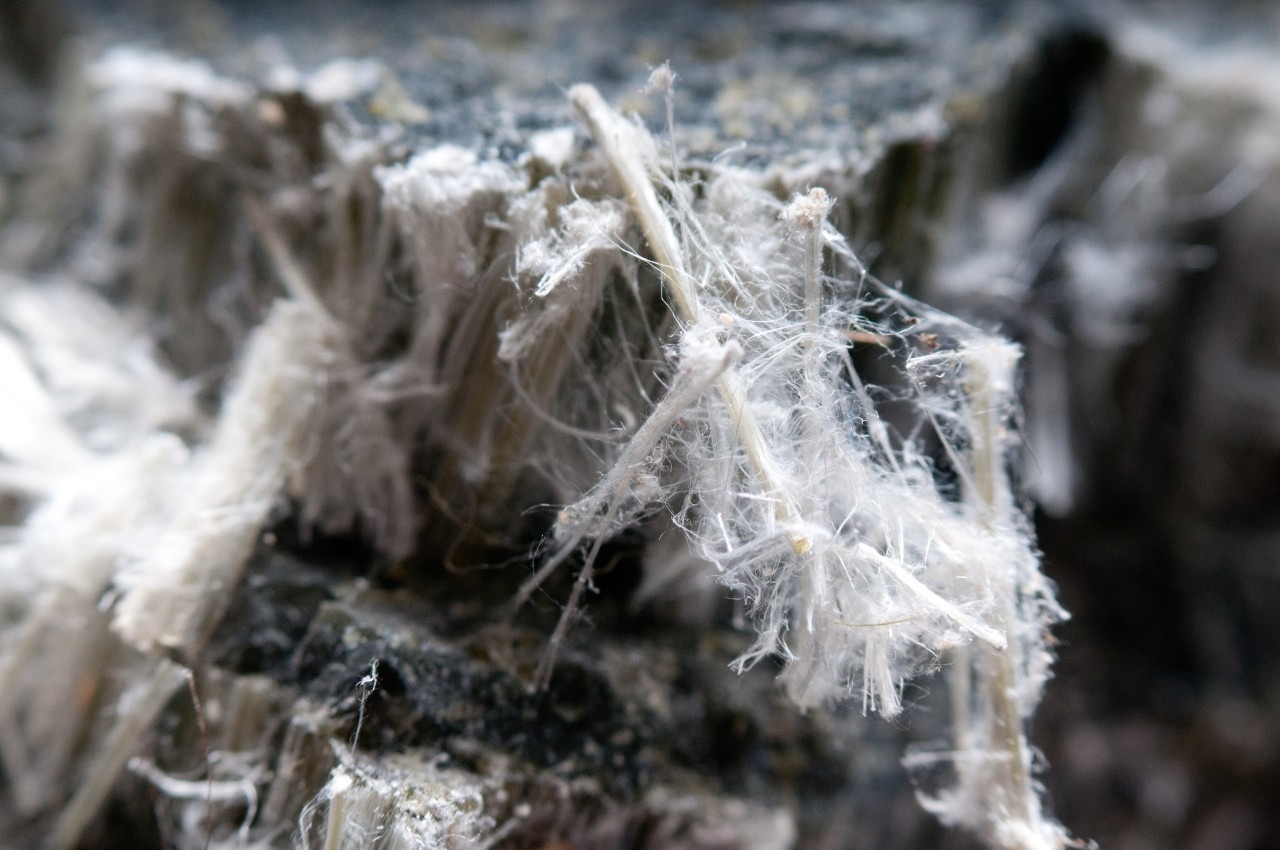 asbestos-close-upTN